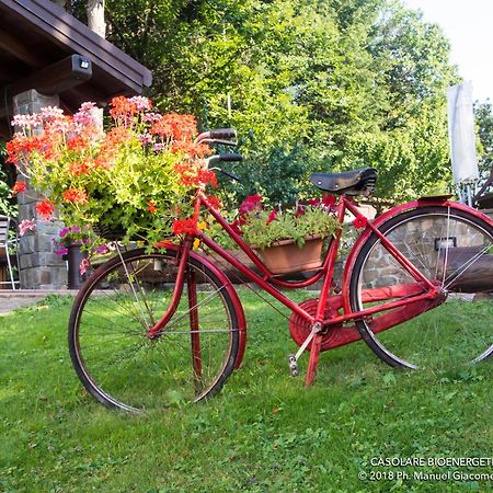 Il Casolare Bioenergetico Bed & Breakfast Albareto  ภายนอก รูปภาพ