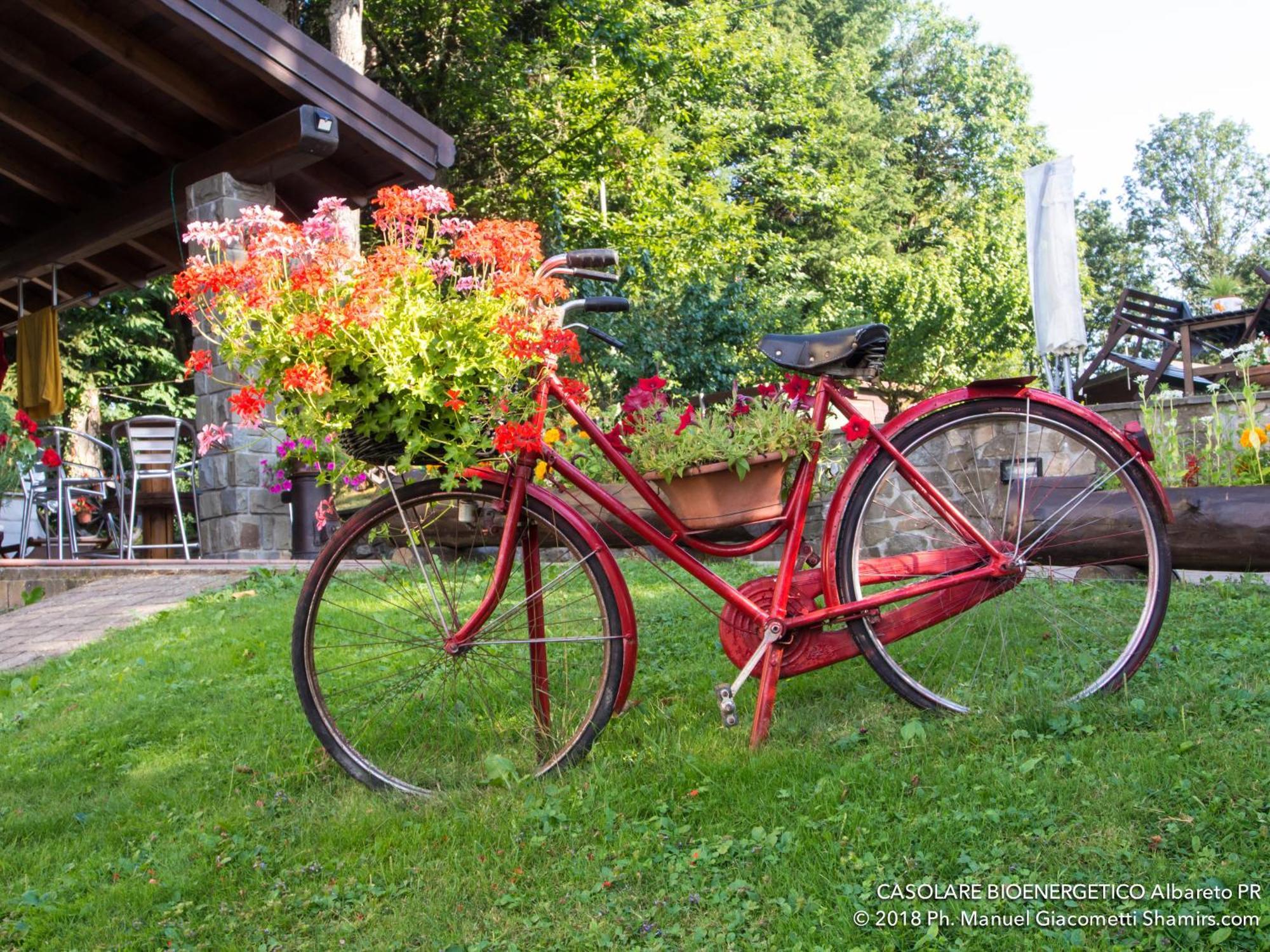 Il Casolare Bioenergetico Bed & Breakfast Albareto  ภายนอก รูปภาพ